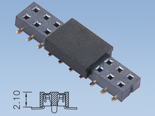 2401 SB21-DXXMXX-1-X-X排母